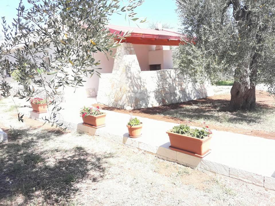 Borgo Cerasa Panzió Vieste Kültér fotó